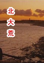 神马午夜av